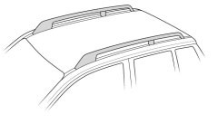 Techo con railing integrado (barras unidas al techo)